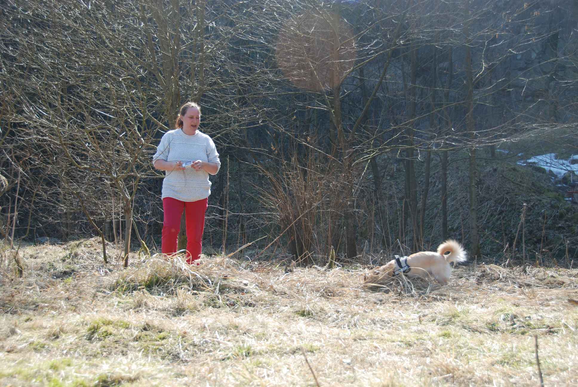 2009-04-03_ntb_5939