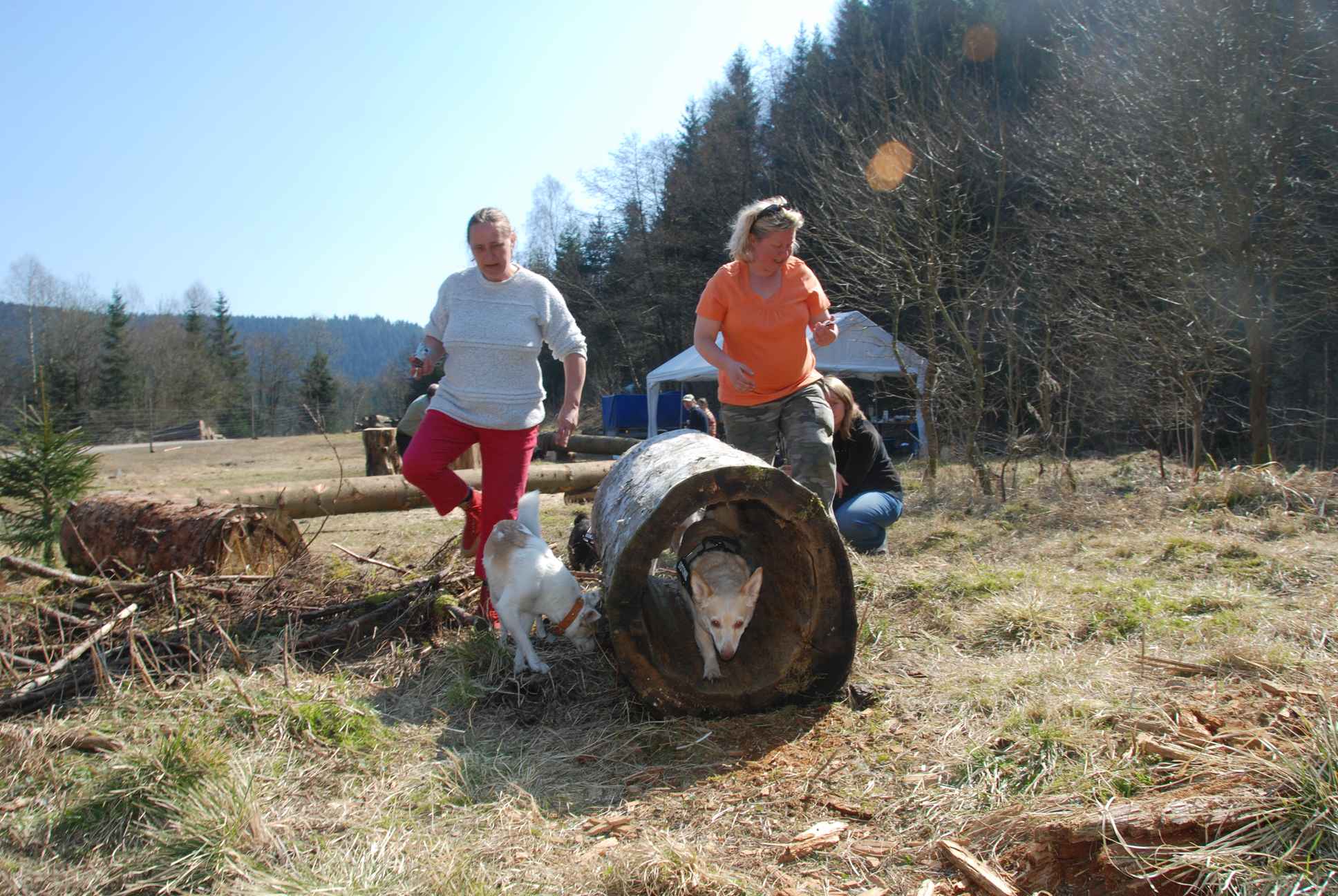 2009-04-03_ntb_5941