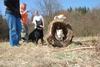 2009-04-03_ntb_5942