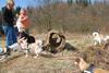 2009-04-03_ntb_5943