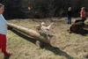 2009-04-03_ntb_5944