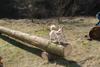 2009-04-03_ntb_5945