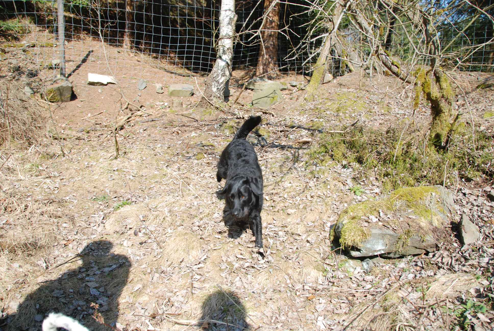 2009-04-03_ntb_5988