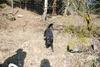 2009-04-03_ntb_5988