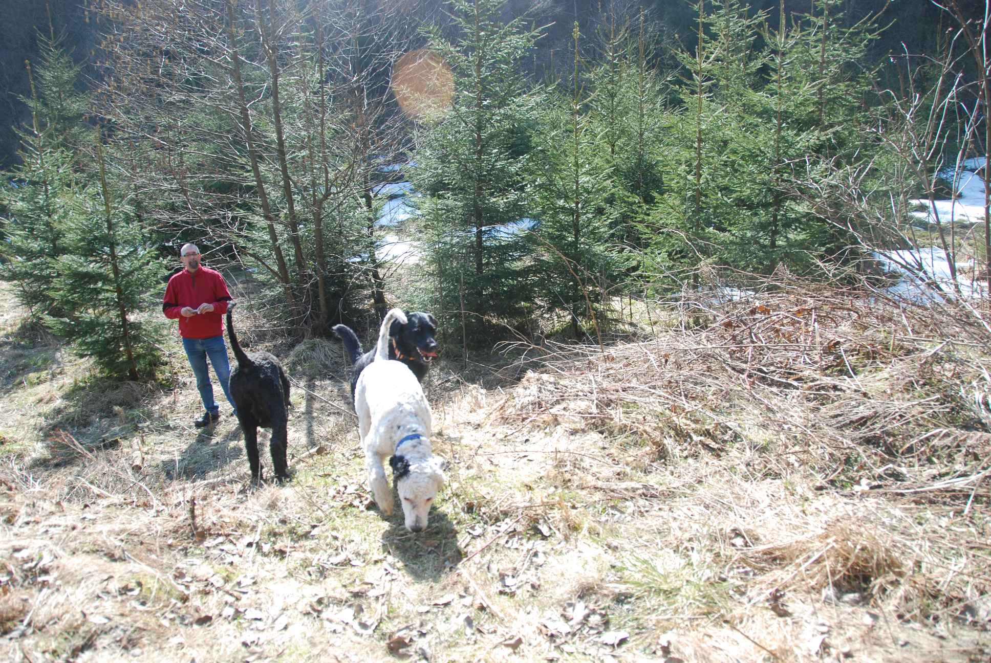 2009-04-03_ntb_5989