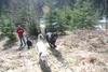 2009-04-03_ntb_5990