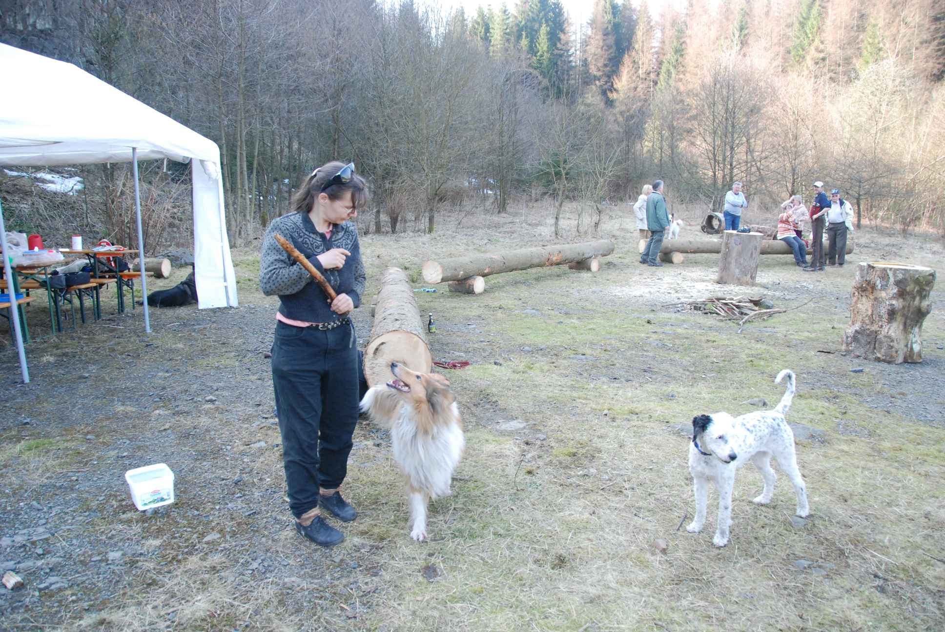 2009-04-03_ntb_5995