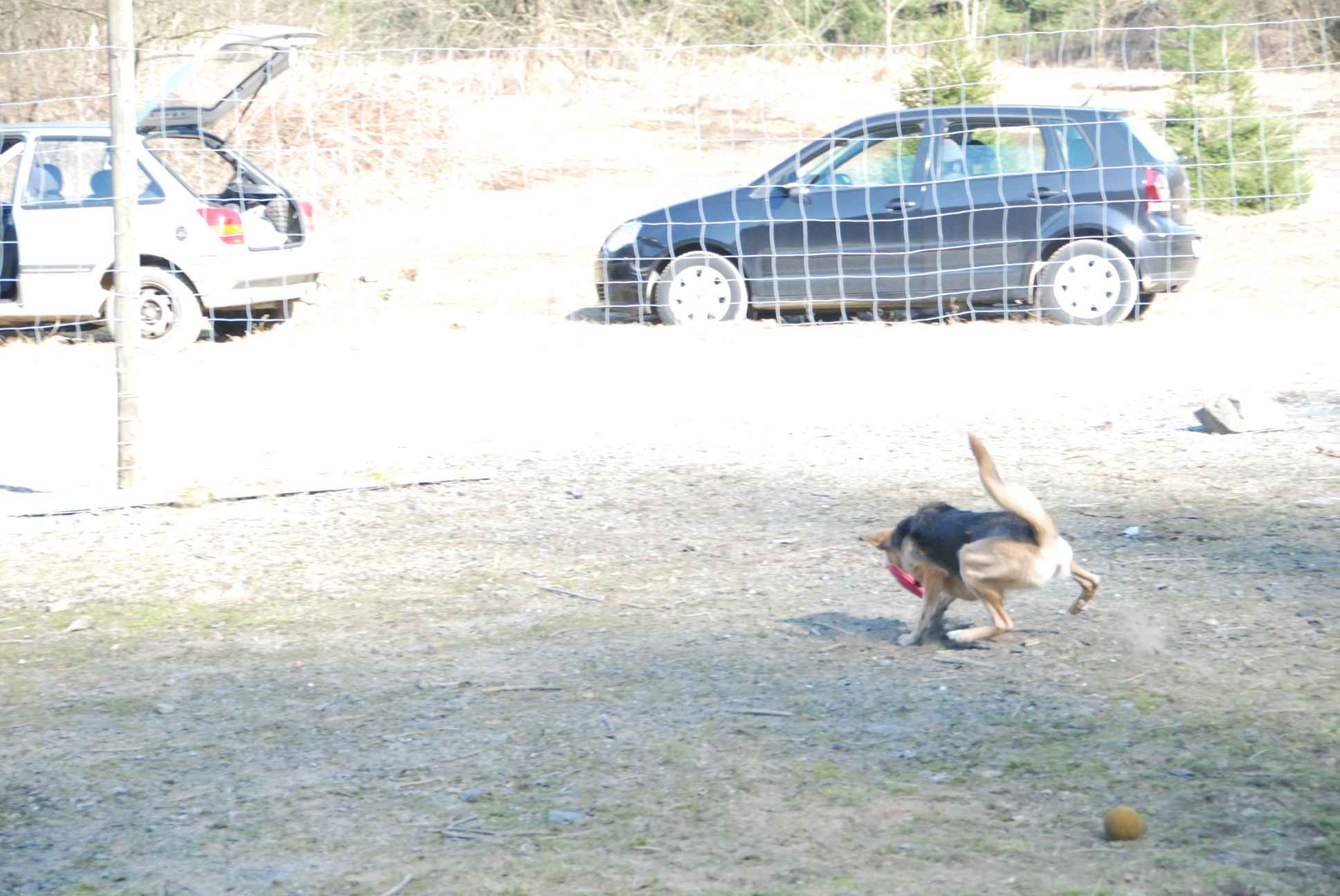 2009-04-03_ntb_5999