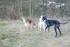 2009-04-03_ntb_6006