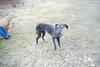 2009-04-03_ntb_6007