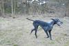 2009-04-03_ntb_6008