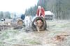 2009-04-03_ntb_6011