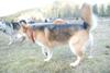 2009-04-03_ntb_6012