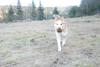 2009-04-03_ntb_6015