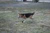 2009-04-03_ntb_6017