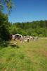 2009-05-24_ntb_1150