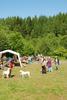 2009-05-24_ntb_1151