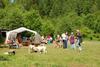 2009-05-24_ntb_1152