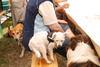 2009-05-24_ntb_1183