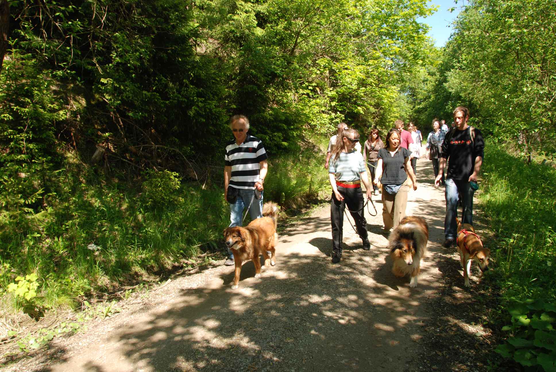 2009-05-24_ntb_1188