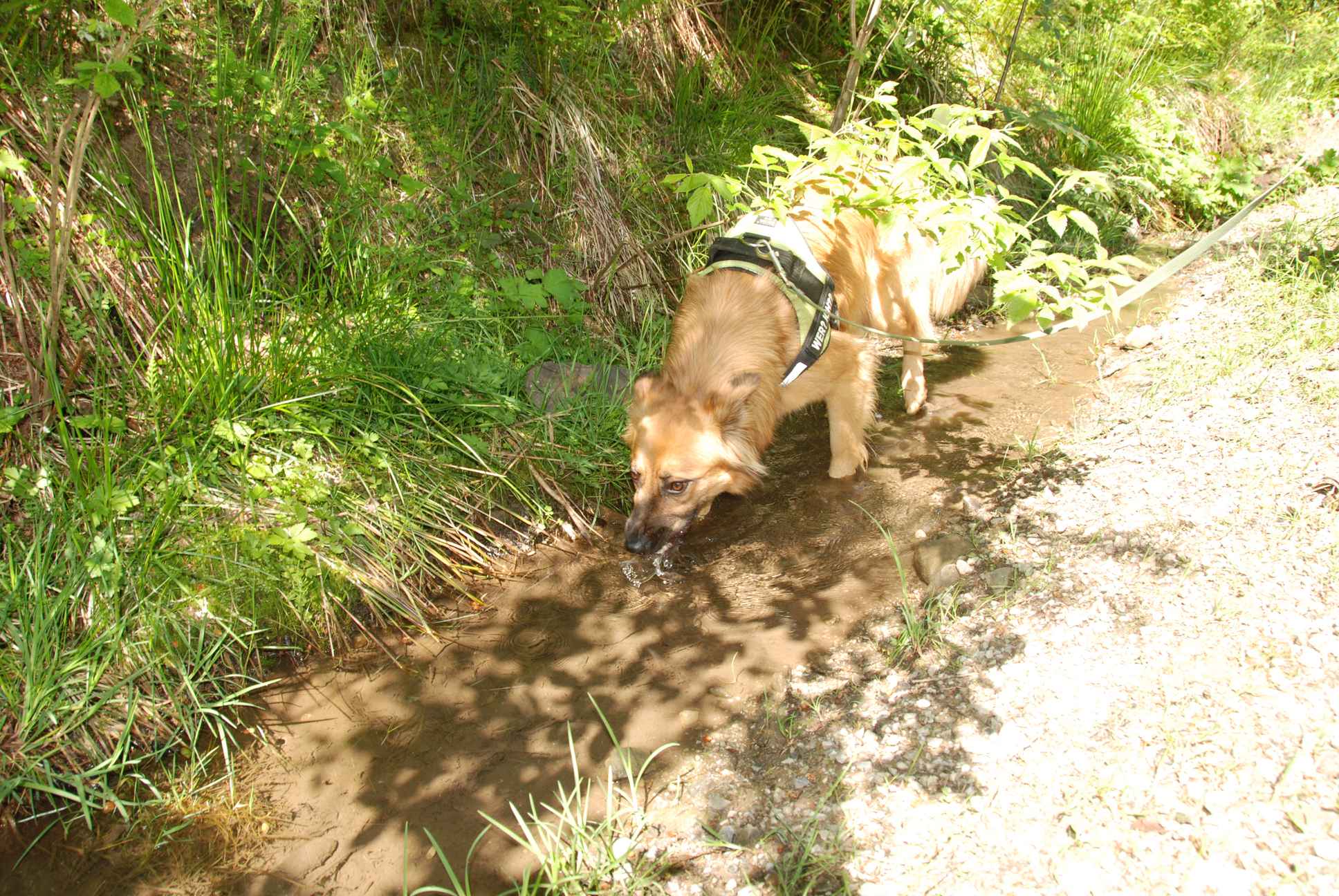 2009-05-24_ntb_1197