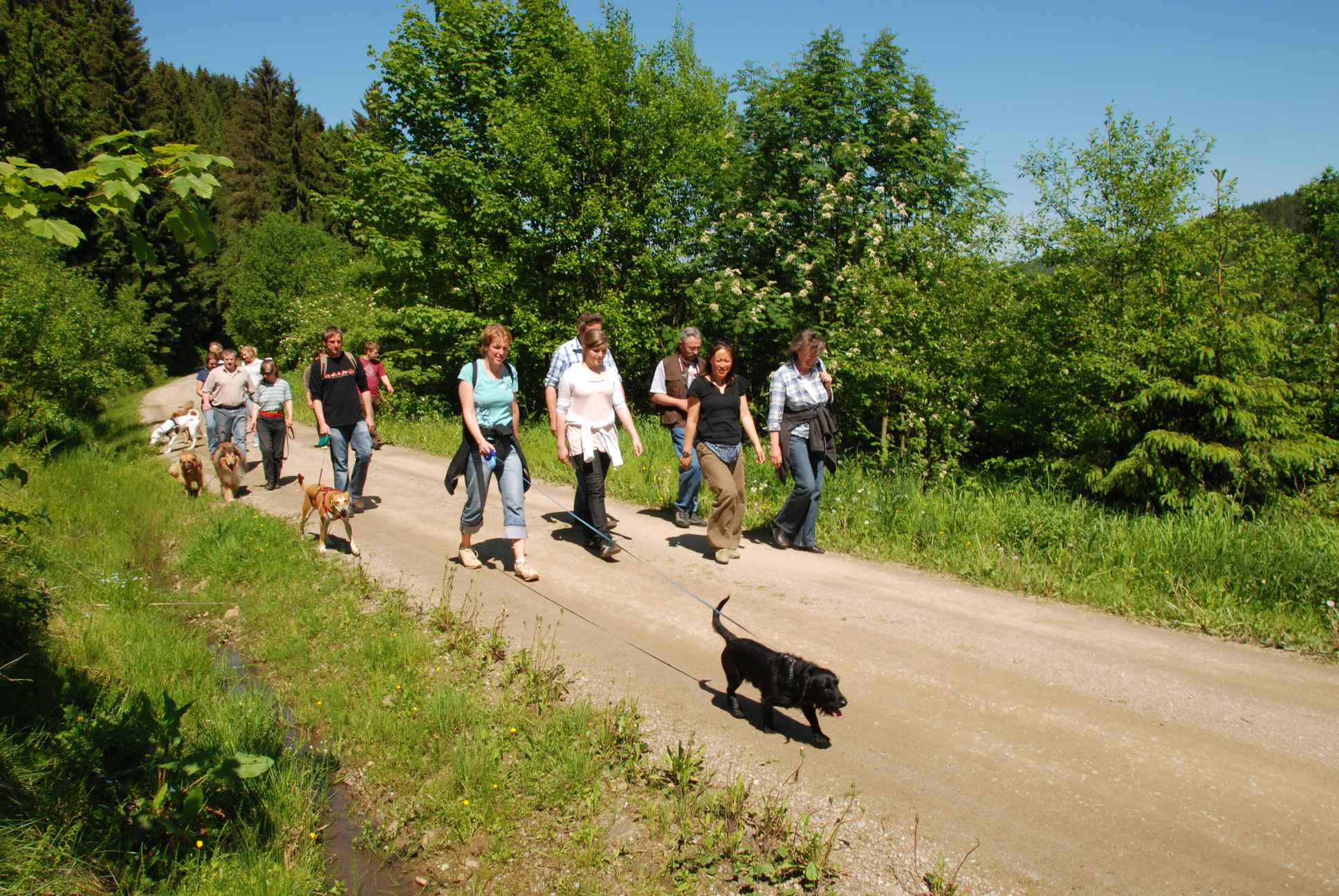 2009-05-24_ntb_1219