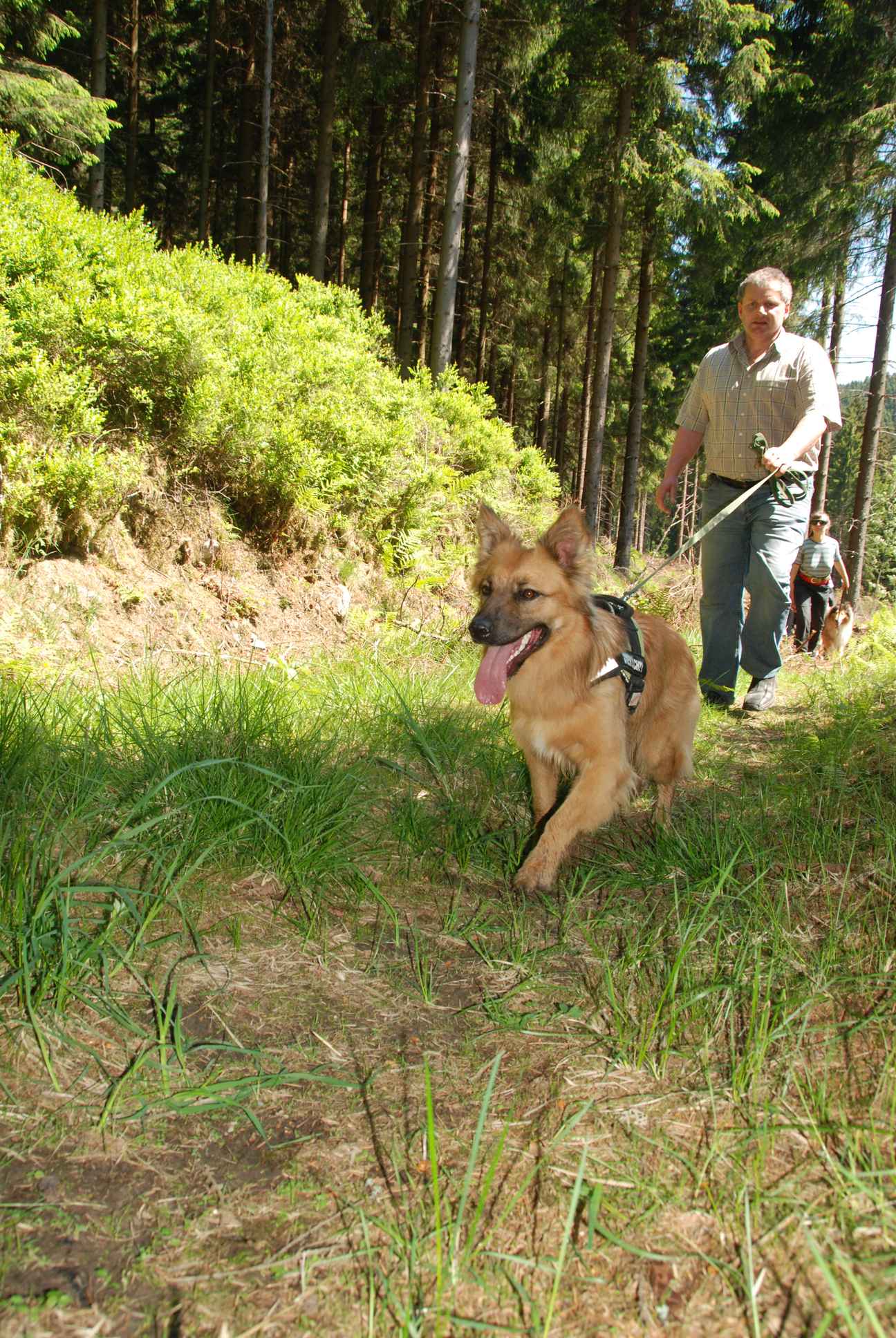 2009-05-24_ntb_1258