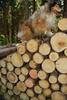 2009-05-24_ntb_1265