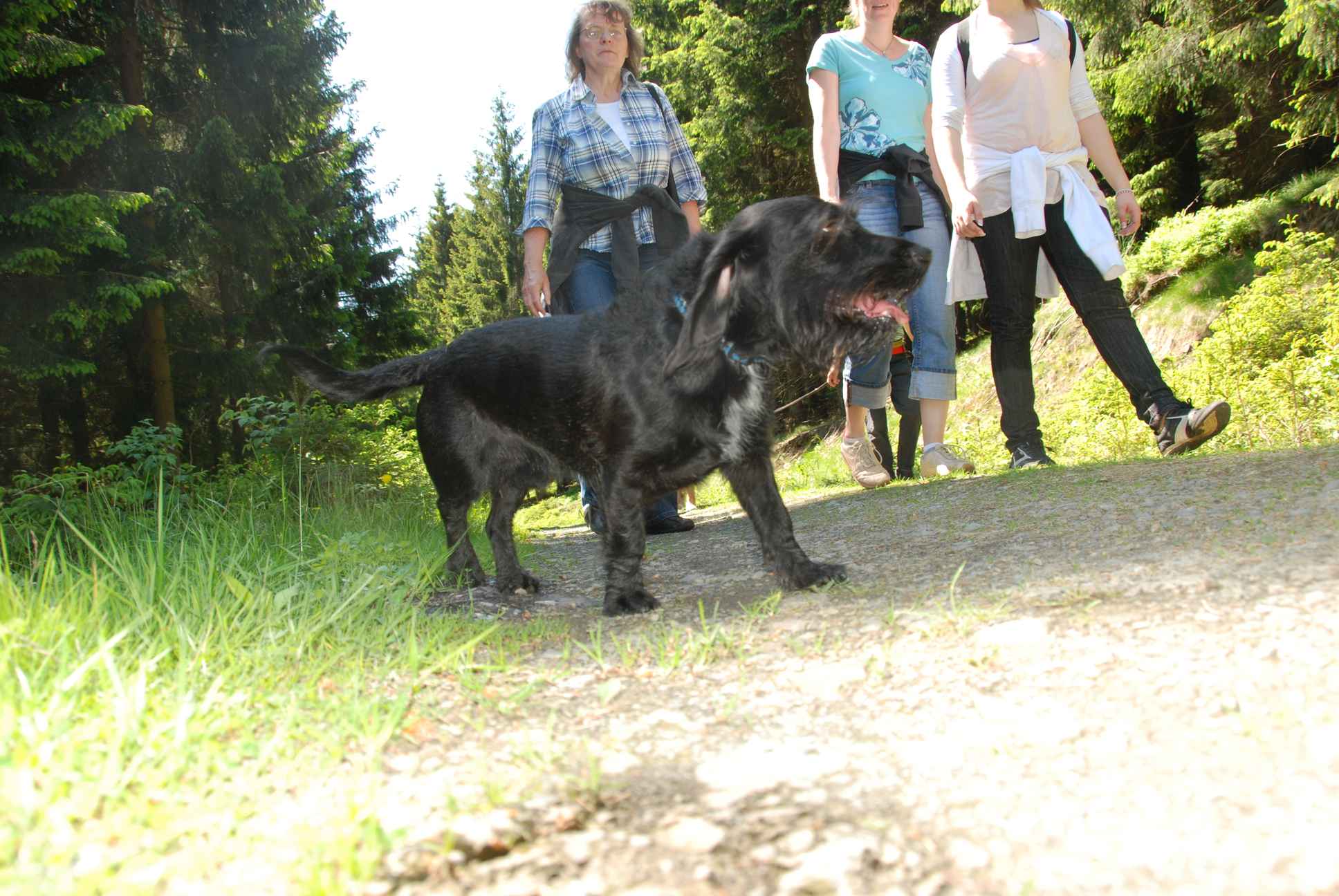 2009-05-24_ntb_1279