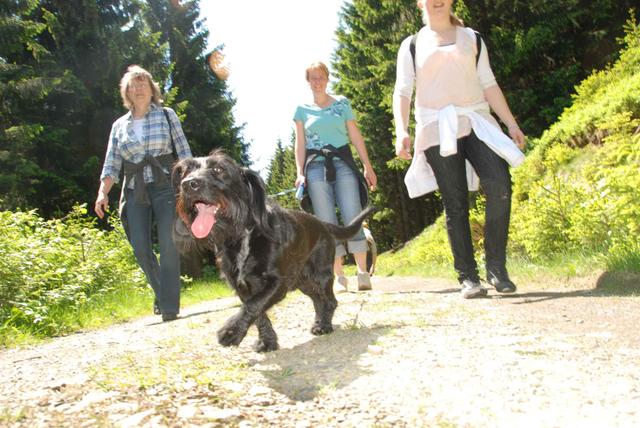 2009-05-24_ntb_1280