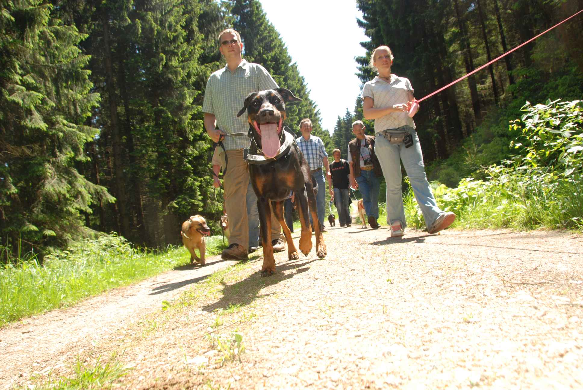 2009-05-24_ntb_1289