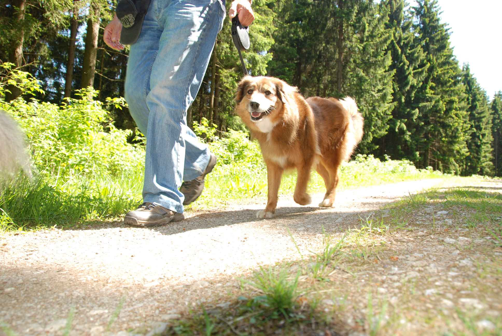2009-05-24_ntb_1301