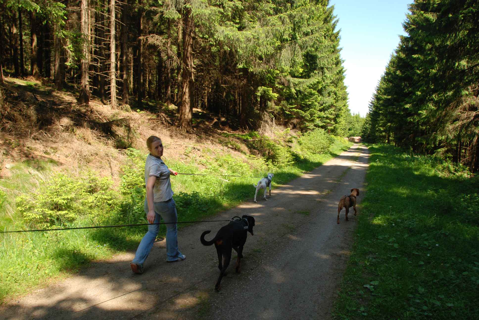 2009-05-24_ntb_1305