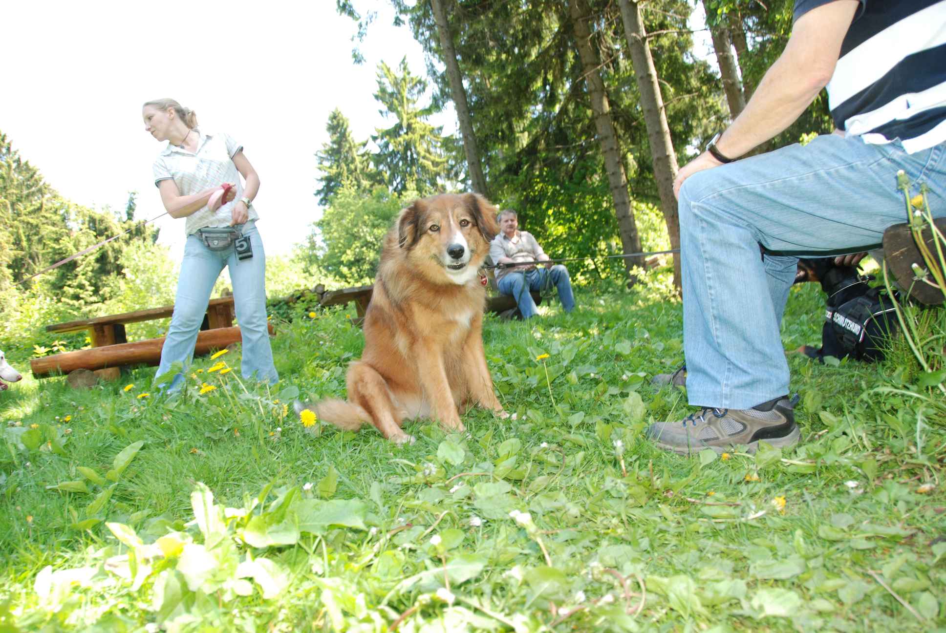 2009-05-24_ntb_1313