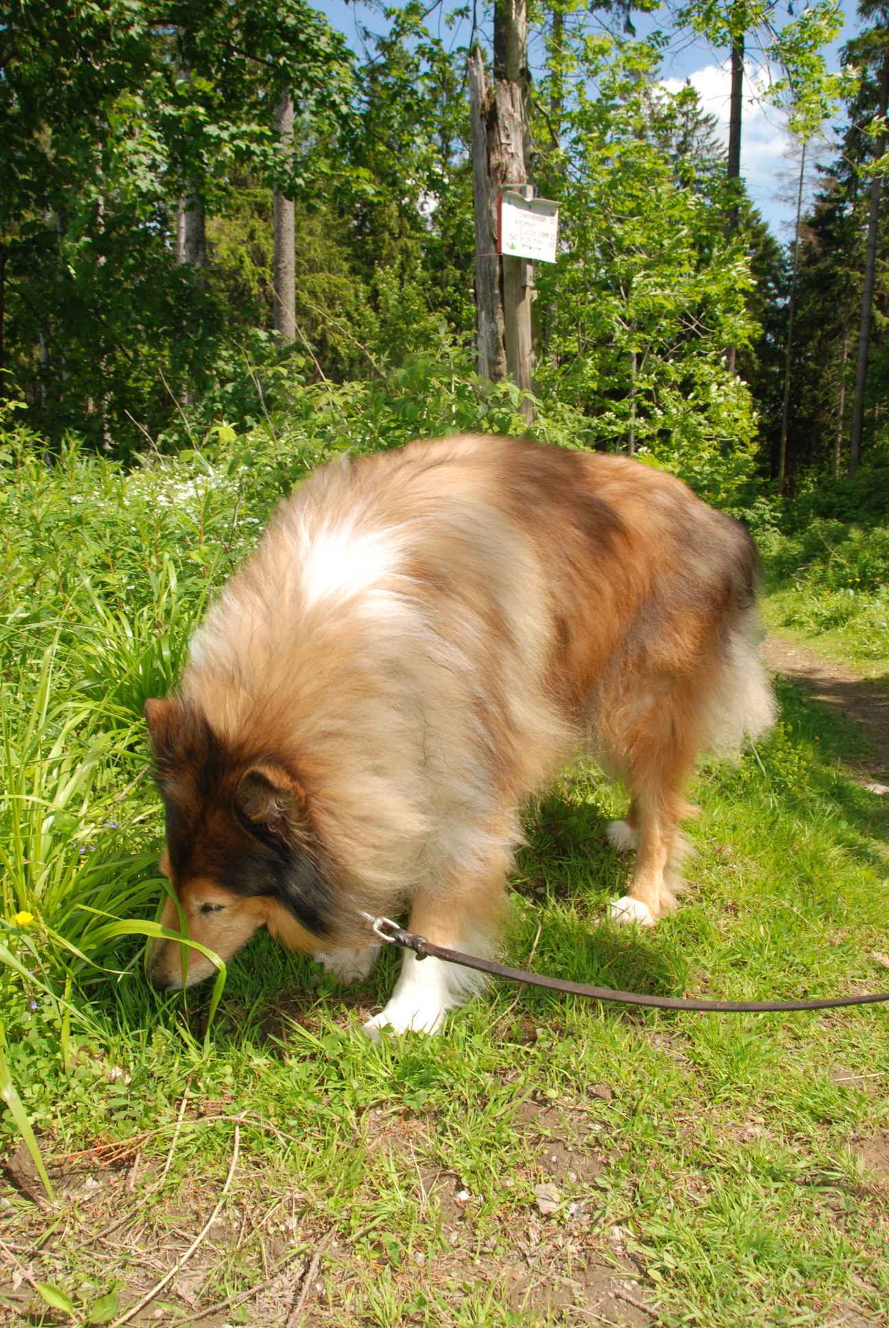 2009-05-24_ntb_1334