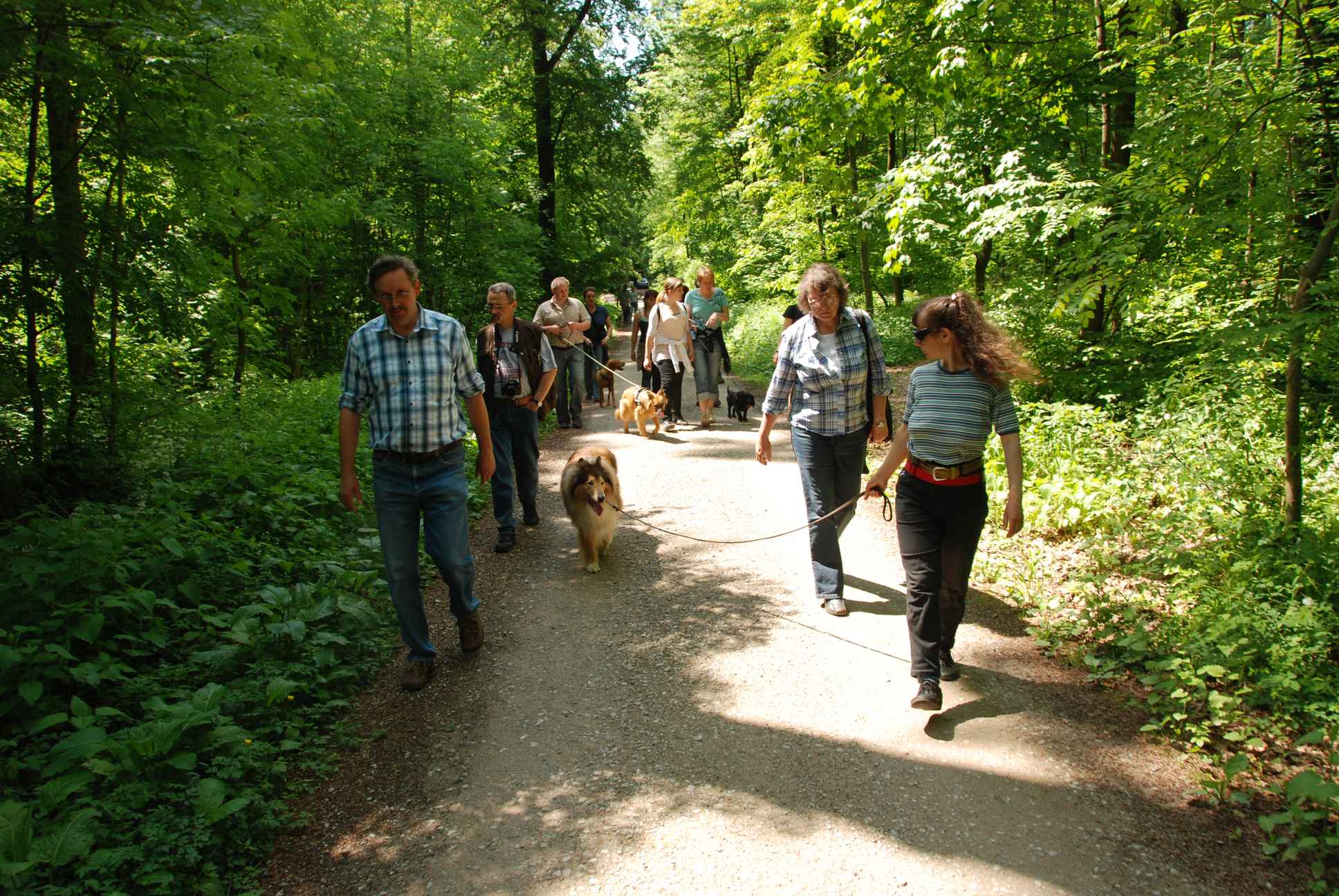 2009-05-24_ntb_1347