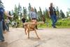 2009-05-24_ntb_1361