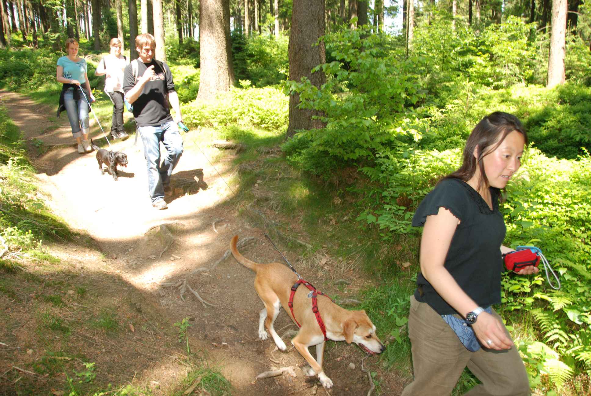 2009-05-24_ntb_1369