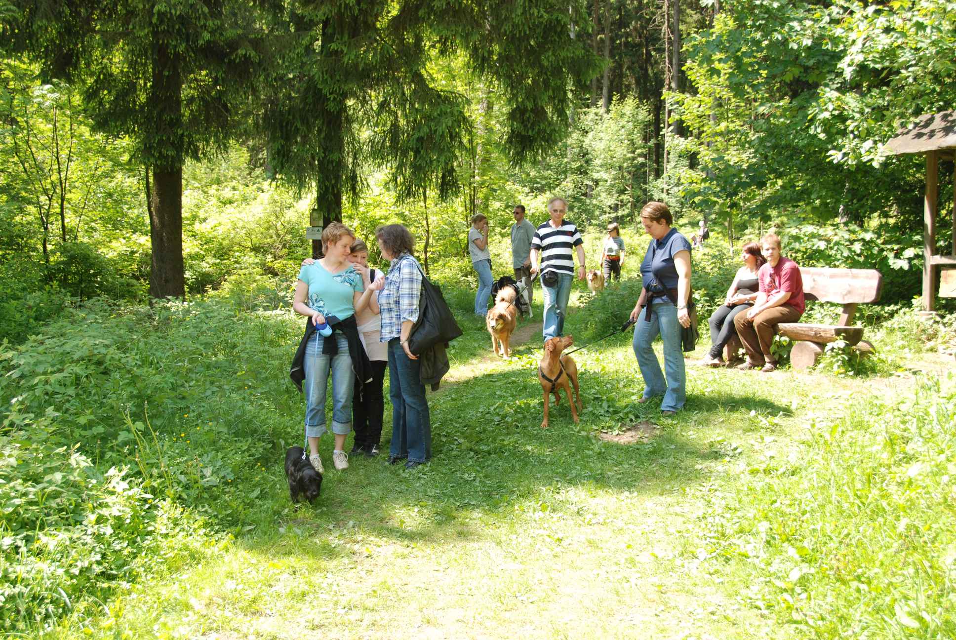 2009-05-24_ntb_1370