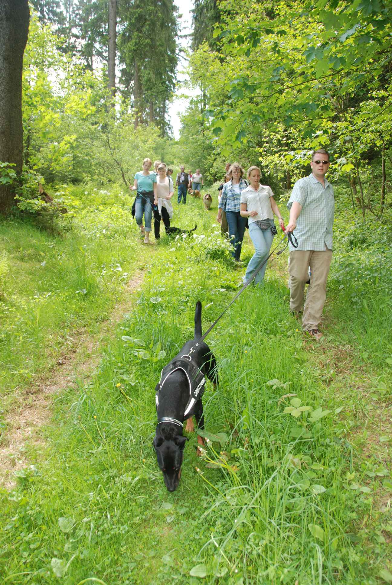 2009-05-24_ntb_1380
