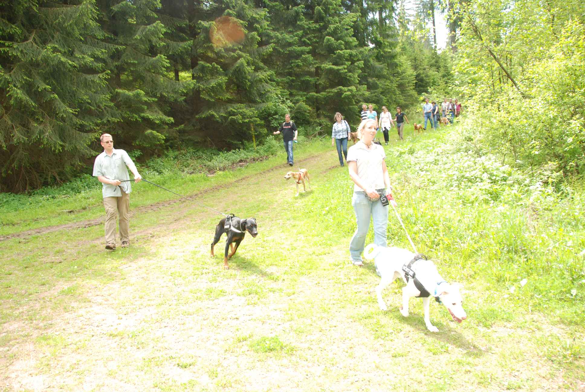 2009-05-24_ntb_1389