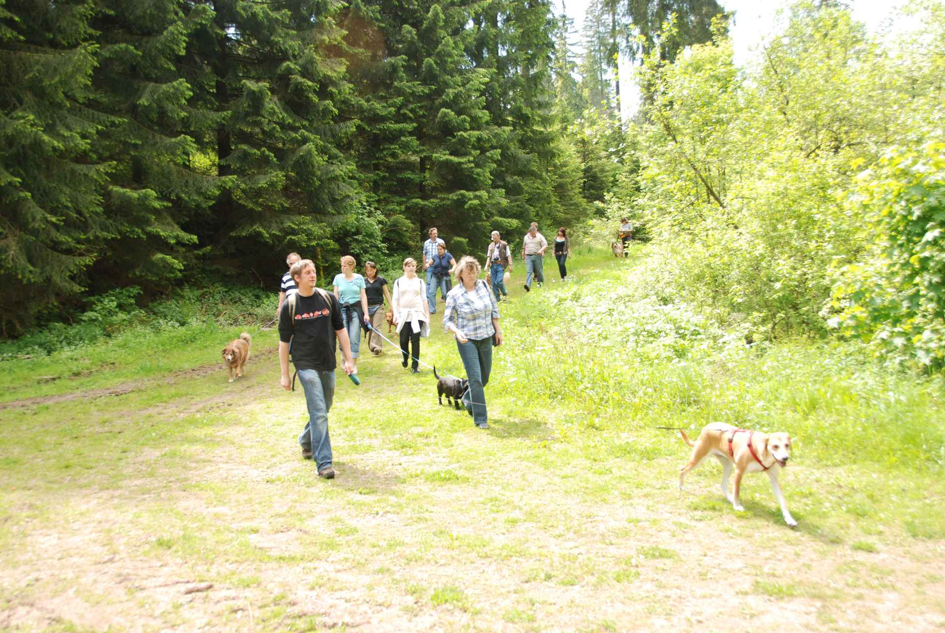 2009-05-24_ntb_1390