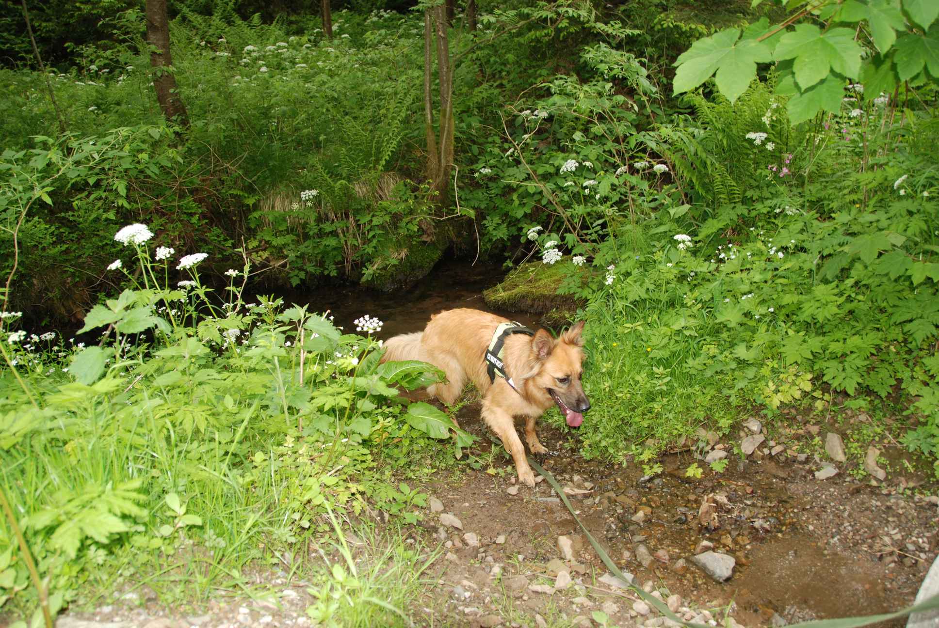 2009-05-24_ntb_1413