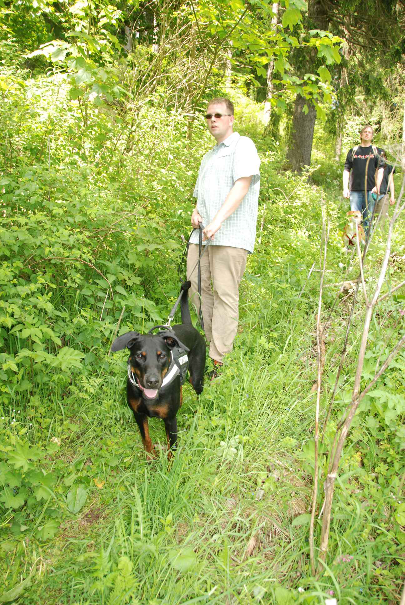 2009-05-24_ntb_1451