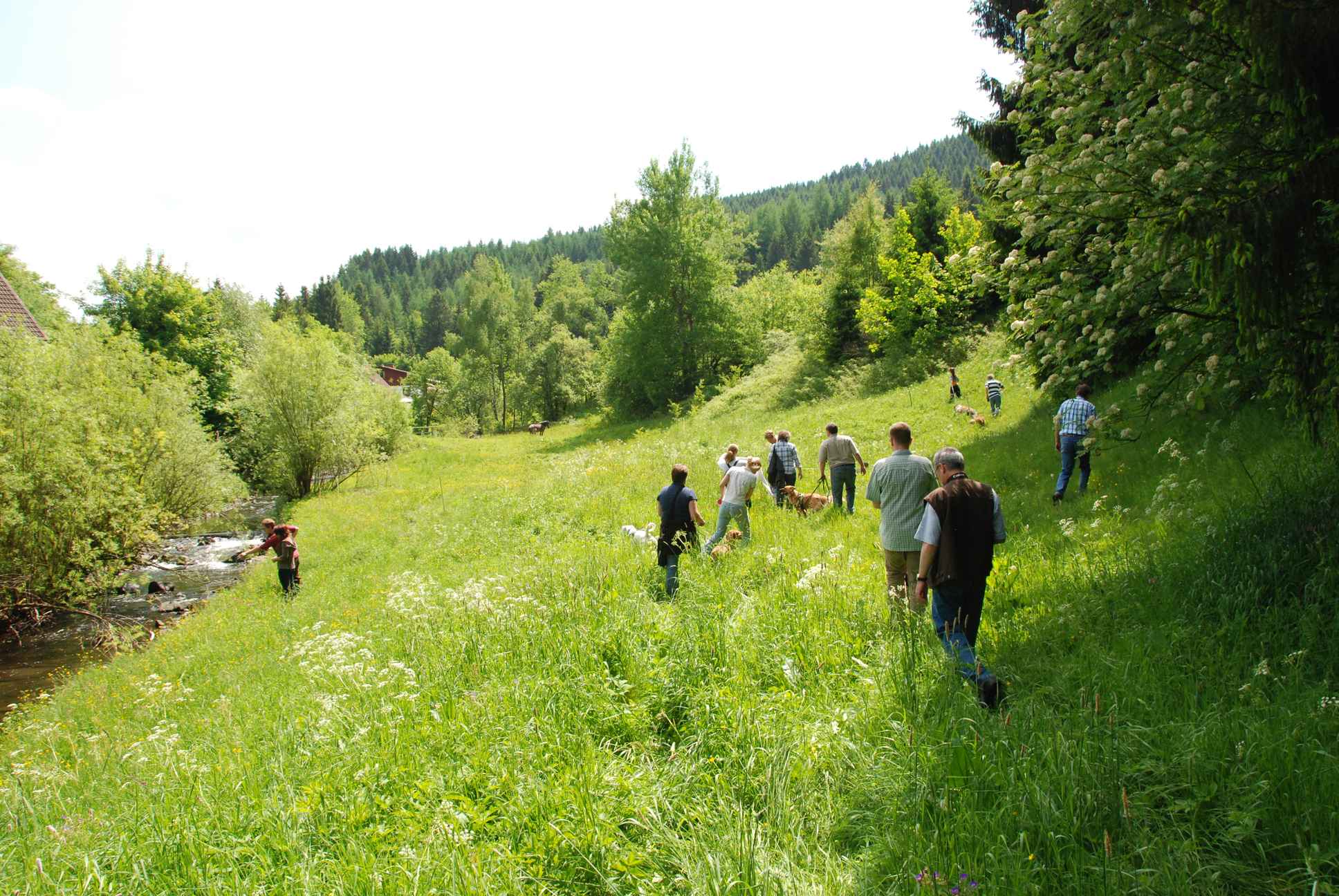 2009-05-24_ntb_1456