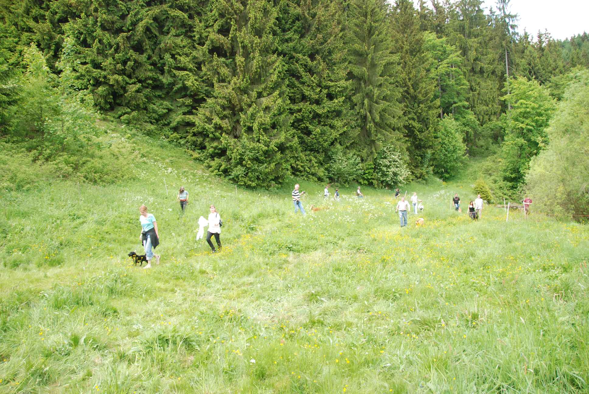 2009-05-24_ntb_1459