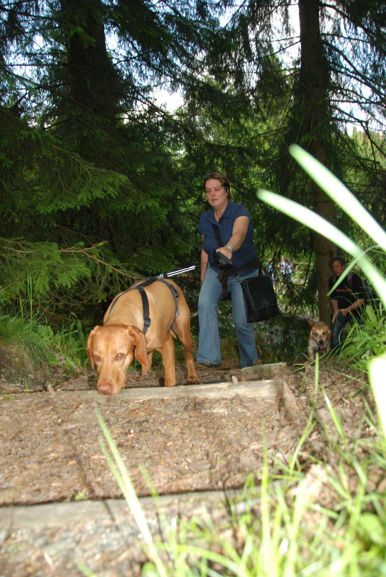 2009-05-24_ntb_1480