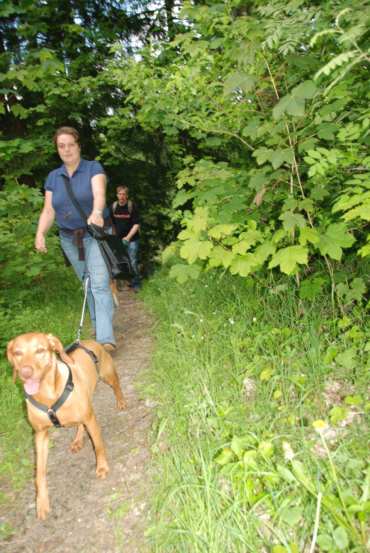 2009-05-24_ntb_1481