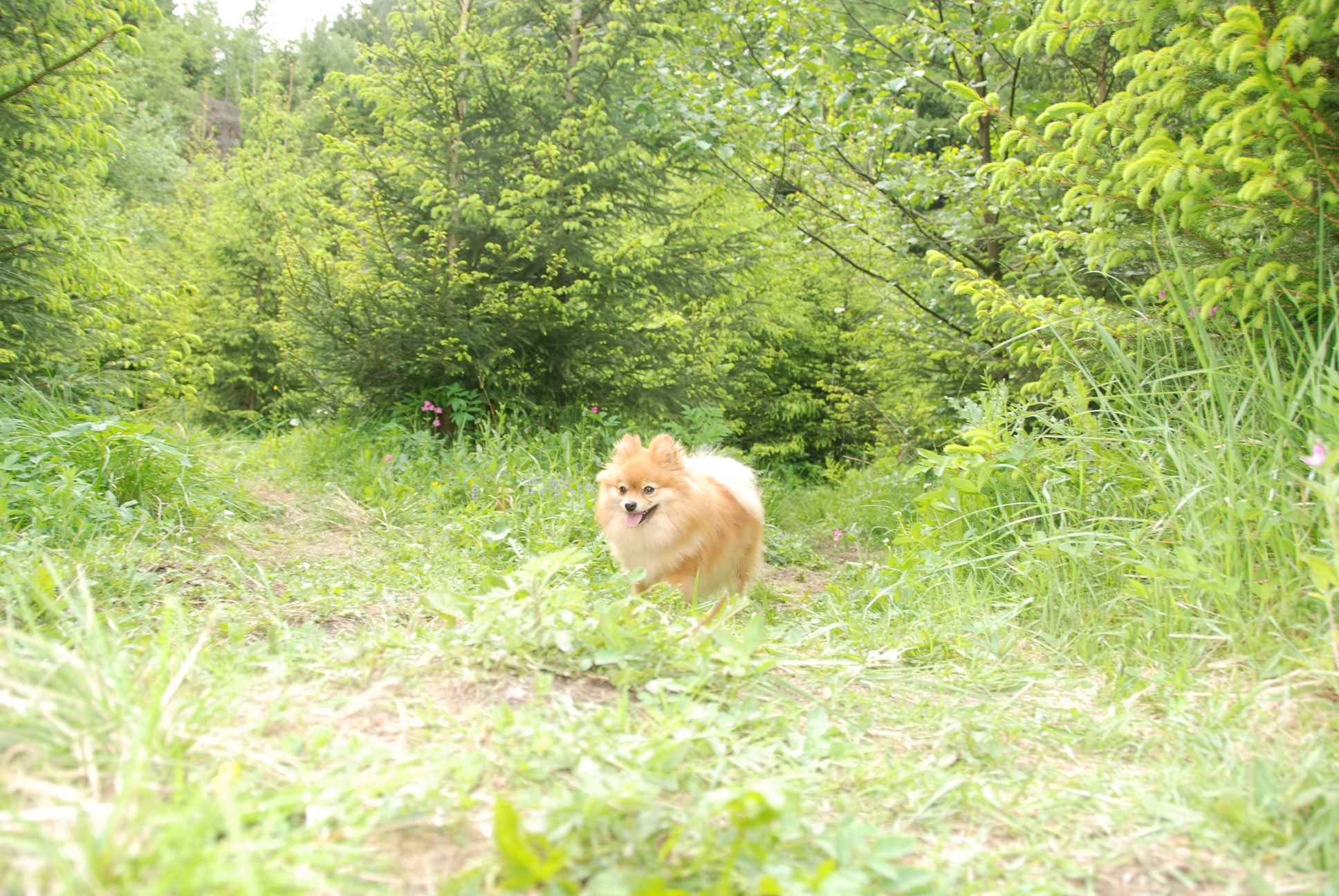 2009-05-24_ntb_1496