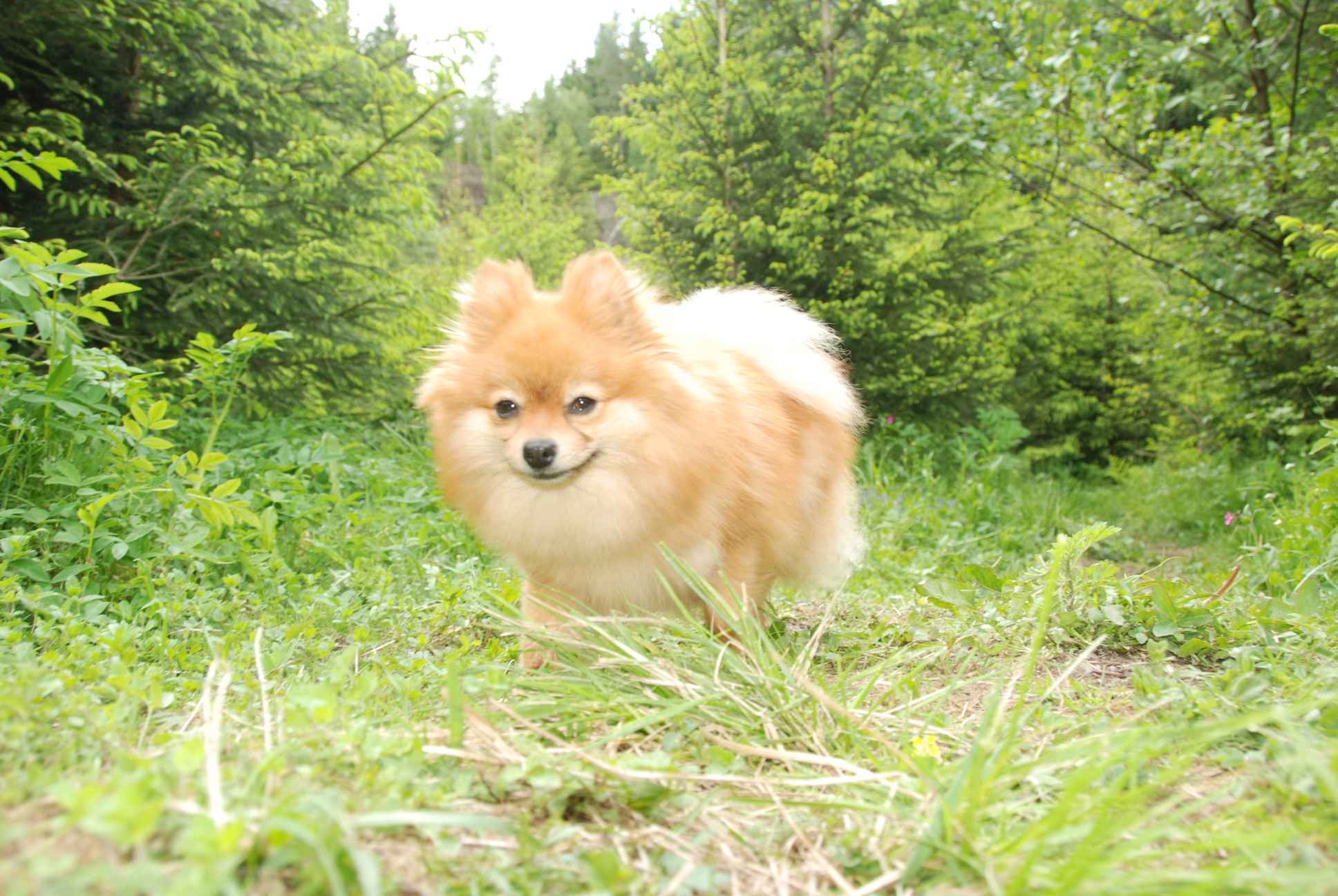 2009-05-24_ntb_1497